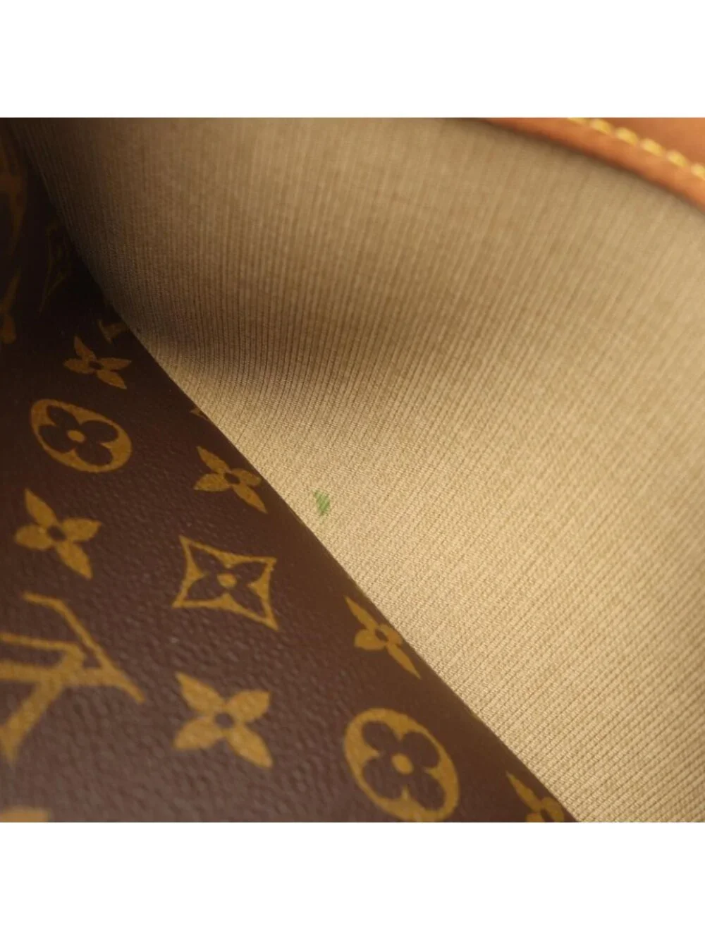 Louis Vuitton Shoulder Bag Reporter PM Canvas Leather